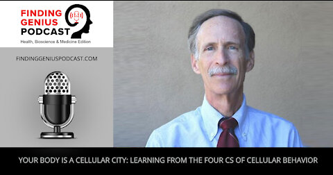 Your Body is a Cellular City: Learning from the Four Cs of Cellular Behavior