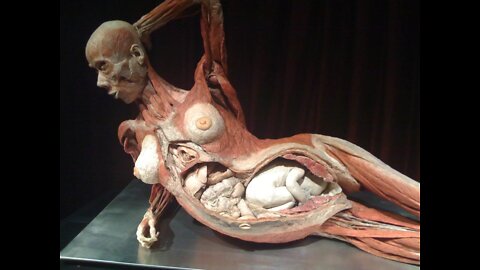 Planned Parenthood Fetal Organ Harvesting