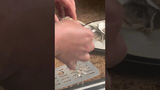 How to shuck a oyster