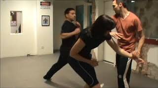 Wing Chun Two on One Drills