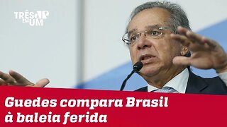 Paulo Guedes compara Brasil à 'baleia ferida' ao defender reforma da Previdência