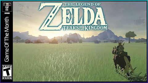 GOTM | Zelda: TOTK