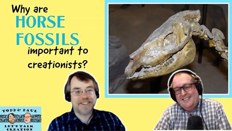 Episode 42: Why are Horse Fossils important to Creationists?