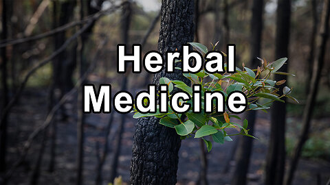 The Power and Potential of Herbal Medicine and The Benefits of Valerian Root and Blue Vervain in