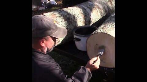#R004 Sealing Maple Logs for Later Processing