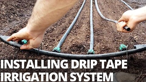 Market Garden Irrigation: Installing Drip Tape System