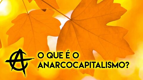 O que é o Anarcocaptalismo?