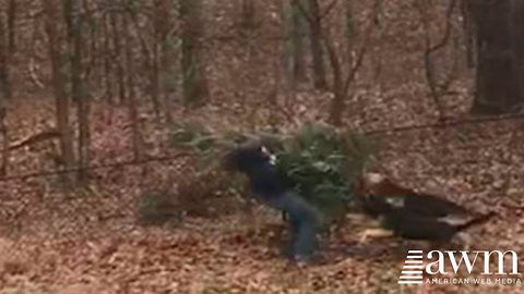 Man Goes To Throw Away Christmas Tree. Doesn’t Realize Dog Is Following Him, Ends In Hilarity