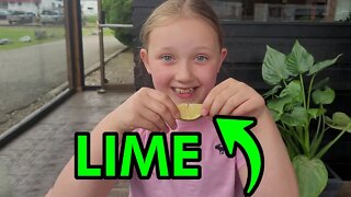 EAT A LIME! #lime #cheers #summer