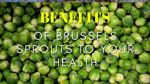 The Benefits of Brussels Sprouts to your Health