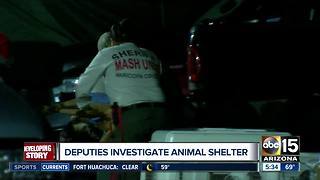 Deputies investigating animal shelter