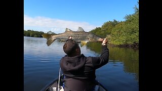 How to Catch and Land a Massive Snook