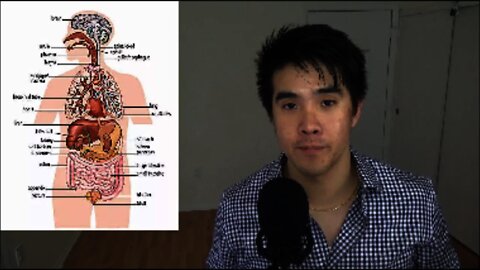 Chubbyemu "A Febrile Toddler Played With His Cat" response