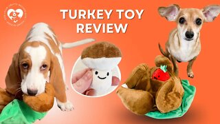 Dog Toy Review - Lepawit Stuffed Thanksgiving Turkey