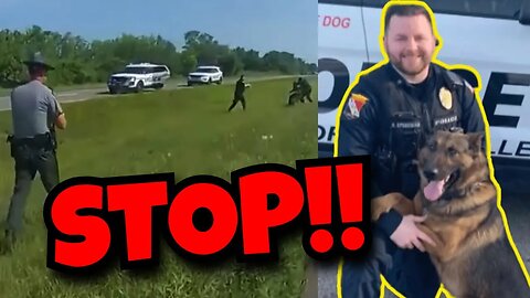 Dog released on surrendered man by COP