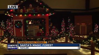 Santa's Magic Forest