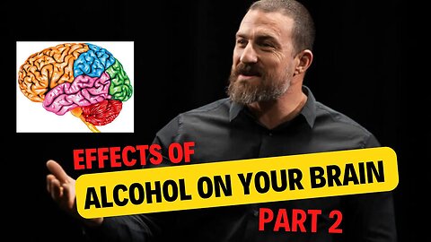 What Does Alcohol to Your Brain, Effect & Consequences of Consuming it (Part 2)