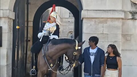 Don't touch the reins please #horseguardsparade