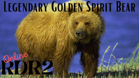 RDR2 Online~ Legendary Golden Spirit Bear #RDR2