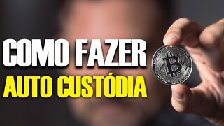 Custódia de Criptos - Como fazer e como fazer?