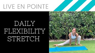 Daily Flexibility Stretch Routine