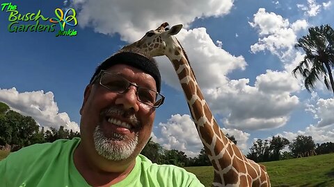 Busch Gardens Tampa Serengeti Tour October 28th, 2022