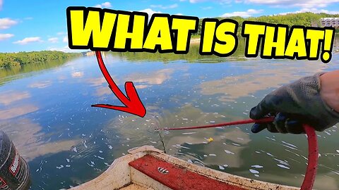GIANT Magnet Fishing Jackpot Uncovering Riverbed Riches!!