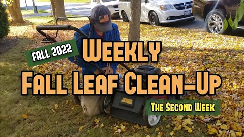 WEEKLY FALL LEAF CLEAN UP • part 2