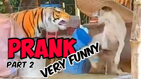 Prank : tease a dog using a tiger statue. Part 2