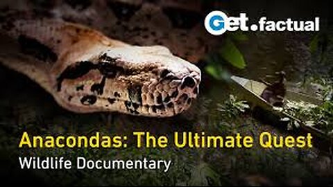 How We Found a Giant Anaconda in Guyana | Wildlife Documentary