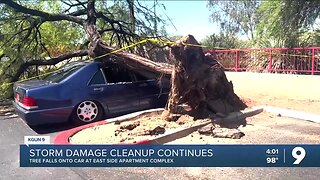 Storm damage cleanup continues