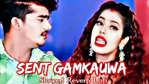 #sent gamkauwa bhojpuri song dj remix #sent gamkauwa bhojpuri song dj remix sachin babu #sent gamkau