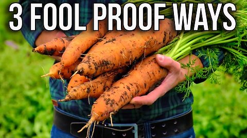 From Seed to Harvest: 3 Game-Changing Carrot Growing Strategies!