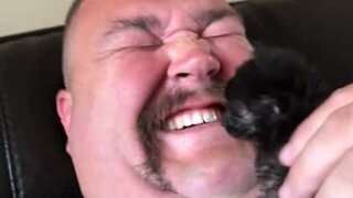 Kitten "attacks" owner in an adorable way