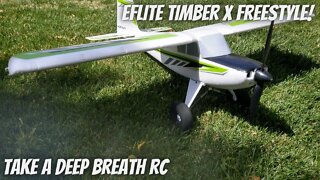 Let's Fly the Eflite Timber X Freestyle!