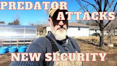 Our homestead is under attack! Part 2 Security measures present and future