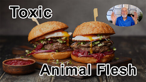 Toxic Molecules Accumulate In Animals Flesh So Every Burger You Bite Is Filled With These Contaminan