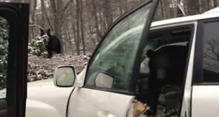 Bear trapped in a car in the USA!!