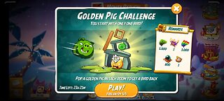 AB2 Golden Pig challenge 12JAN24