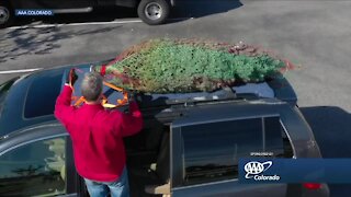 AAA Auto - Christmas Tree Hauling