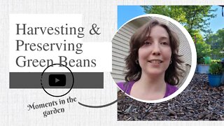 Harvesting & Preserving Green Beans Vlog | Moments in the garden