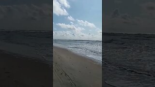 etwas windig heute am Strand von Medusa bei Palanga, aber angenehme Wassertemperatur #shorts #natur