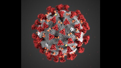 COVID-19 Animation: What Happens If You Get Coronavirus?