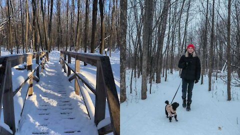This 13-Km Nature Walk In Laval Will Plunge You Into A 'Winter Wonderland'