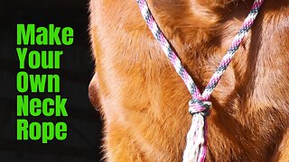 How to make a Neck Rope for Bridleless Riding or Training your Horse | Tying a Matthew Walker Knot