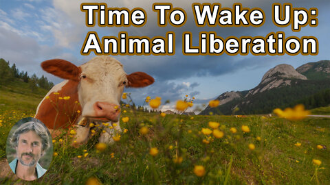 Time To Wake Up: A Deeper Look At Health, Freedom, And Animal Liberation - Will Tuttle, PhD