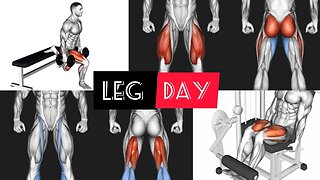 Challenging Leg Workout : Leg Day (gym)