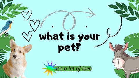 What's your pet