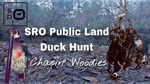 SRO Public Land Duck Hunt | Chasin’ Woodies