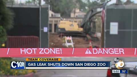 Gas Leak shuts down San Diego Zoo and parts of Balboa Park